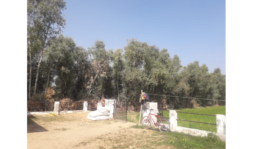 Residential Land / Plot