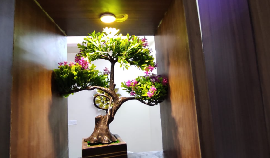 Fully Furnished 3BHK Flats For Sale