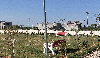 JDA PLOTS