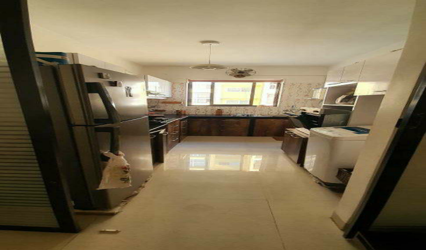 Flat / Apartment