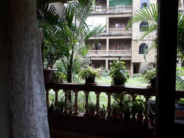 Flat / Apartment