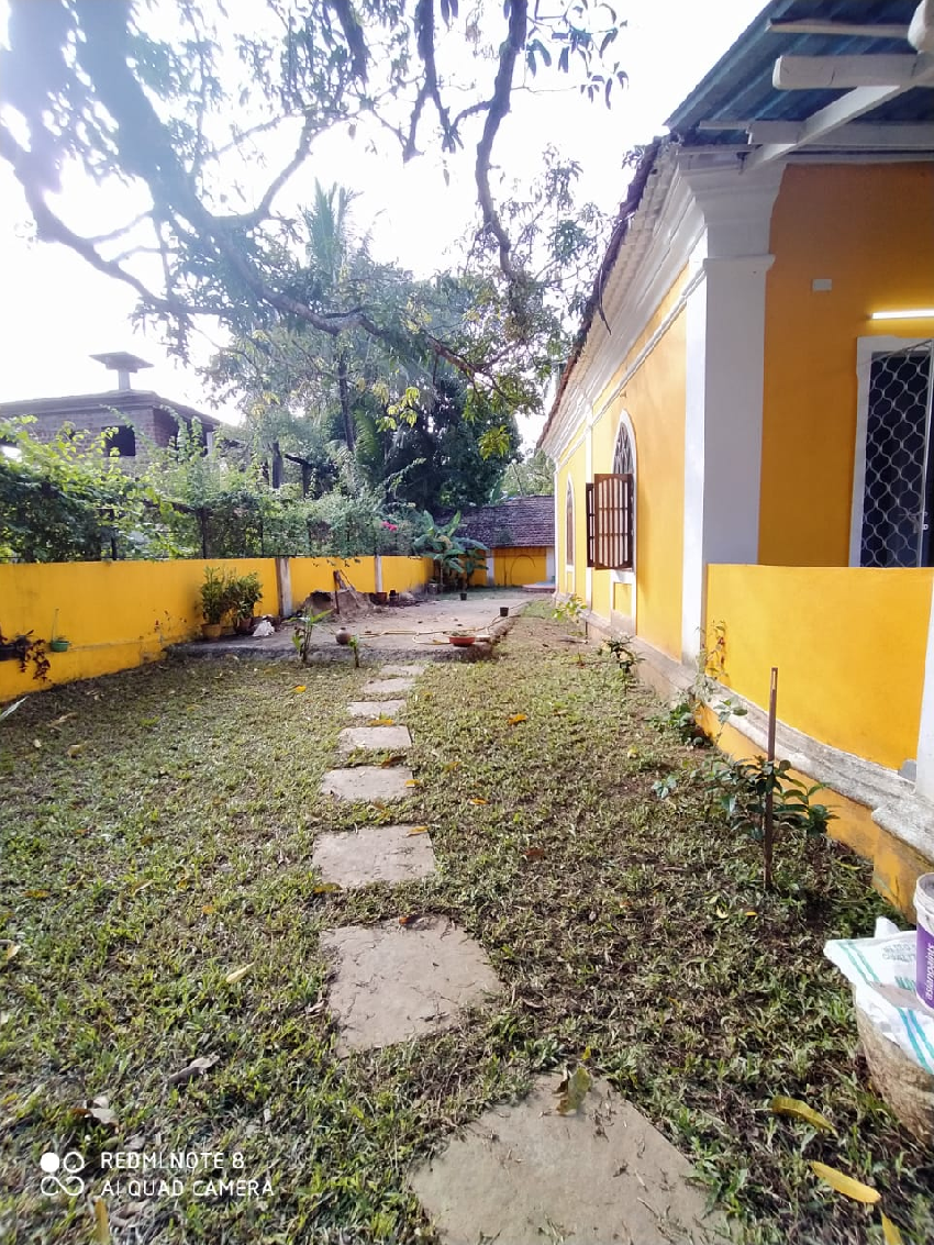 Residential House 