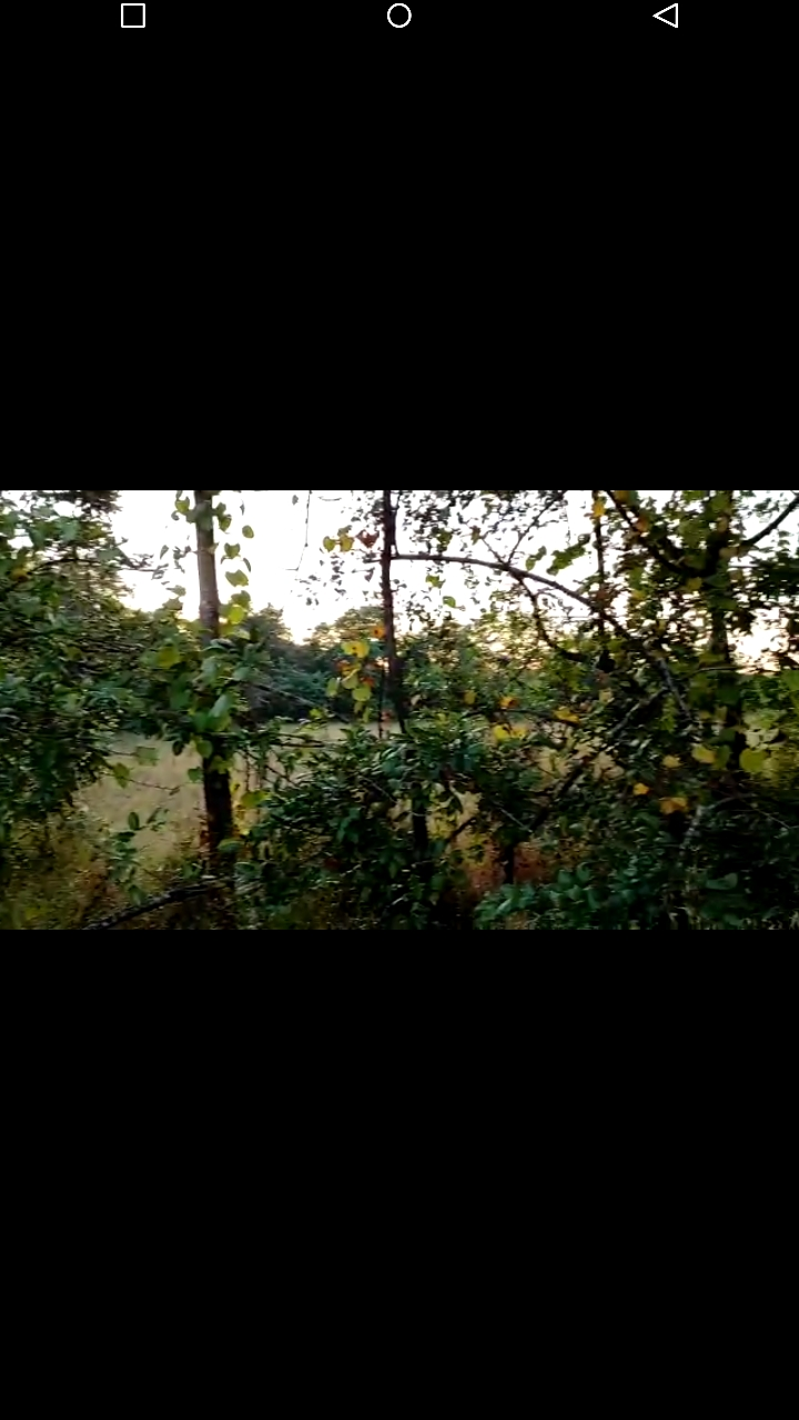 Residential Land / Plot