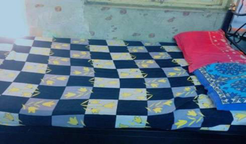 Flat / Apartment