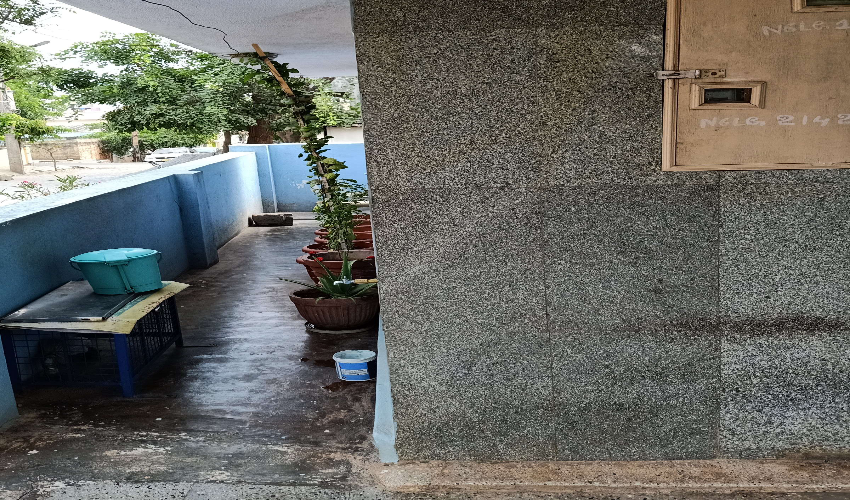 Residential House 