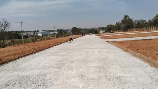 Residential Land / Plot